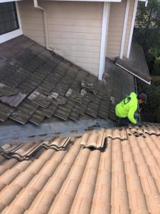 valley cleaning tile roof maintenance roof cleaning vacaville